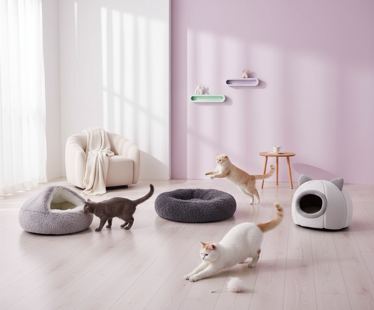 Winter Cat Beds & Plush